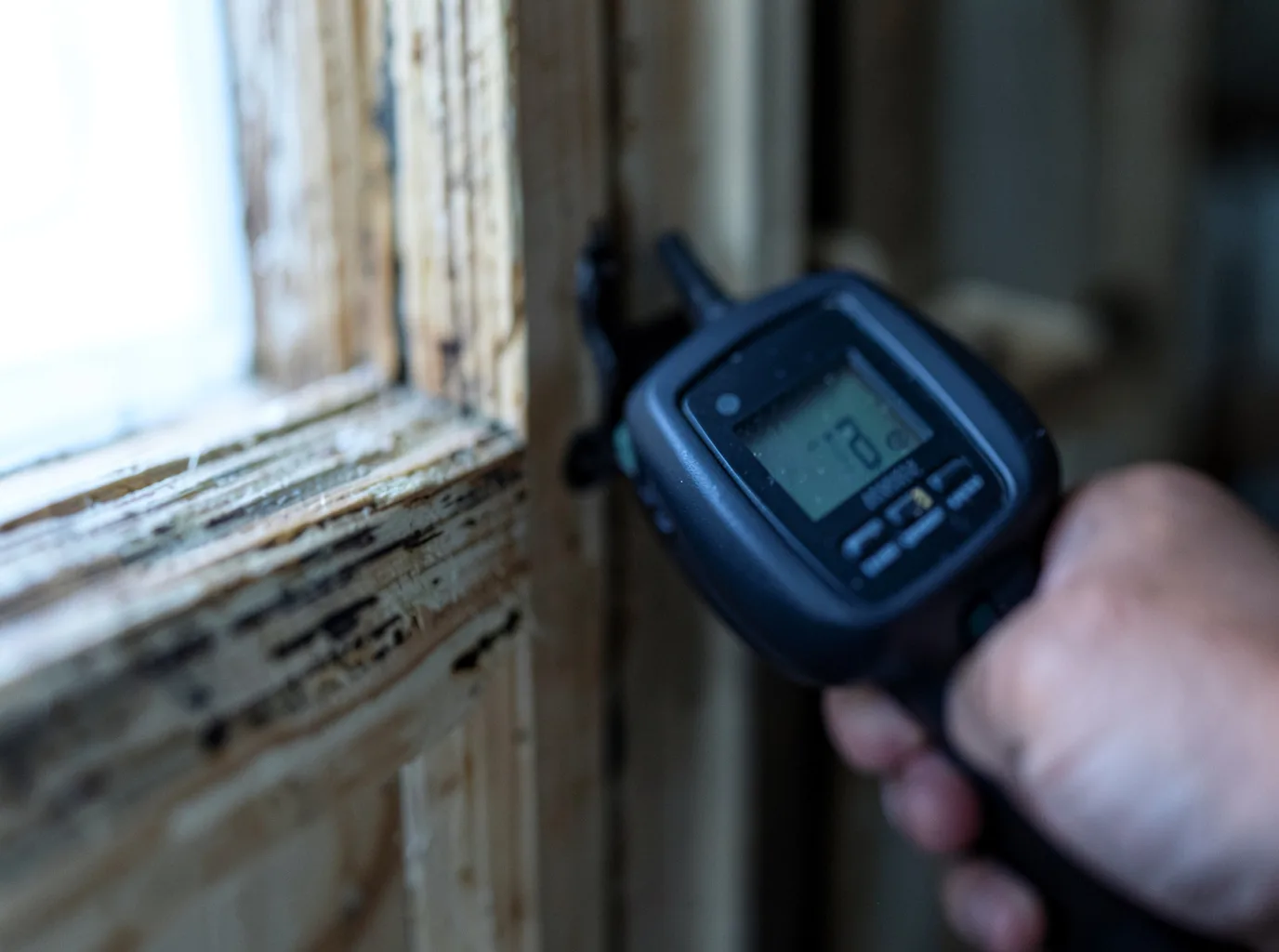 Moisture Inspection And Documentation in Callery, PA